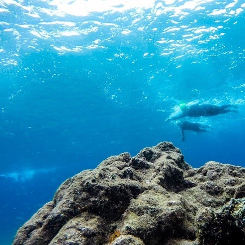 Clear water, perfect temperature and a swim you wont forget