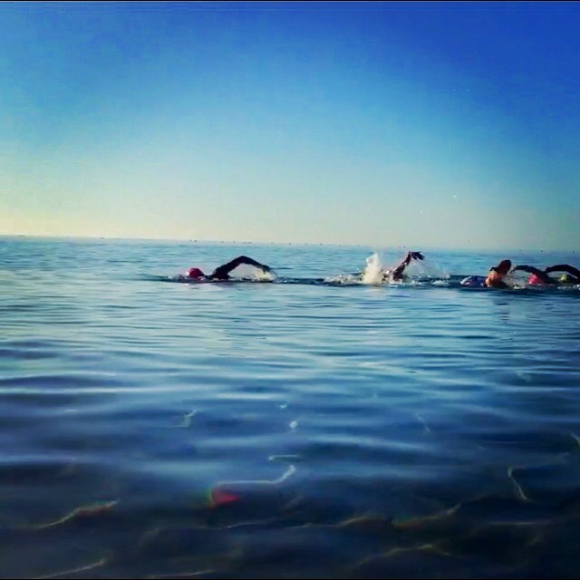 Swim Lanzarote morning swim